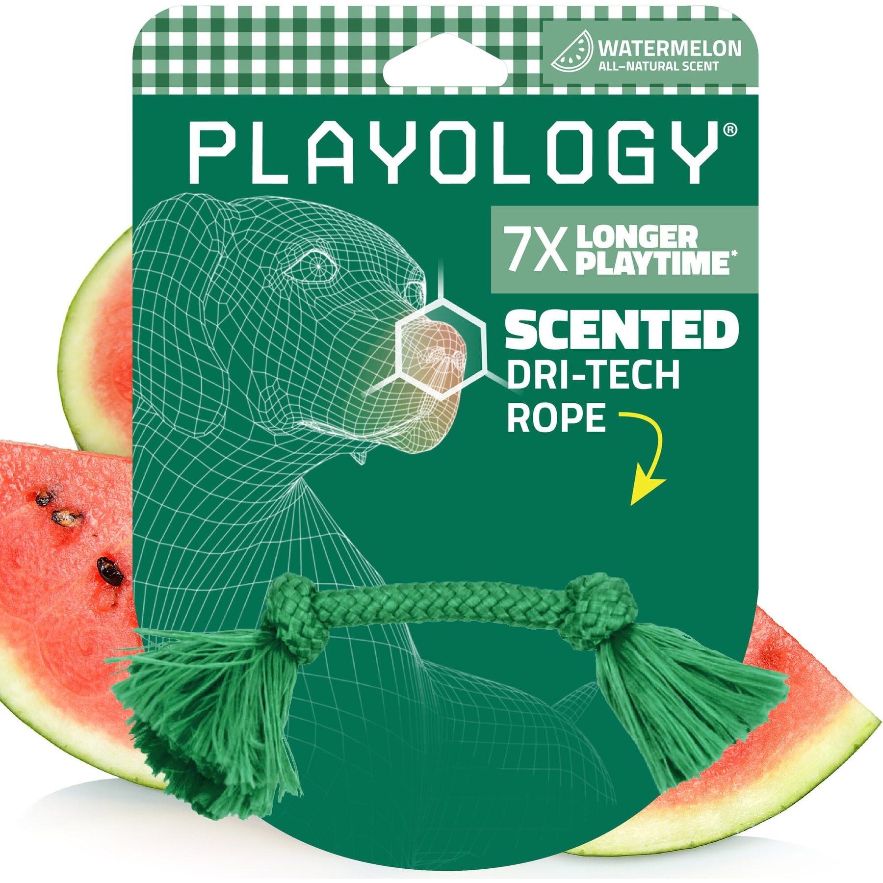 Playology Dri-Tech Rope Watermelon Scented Dog Toy, Green, Small