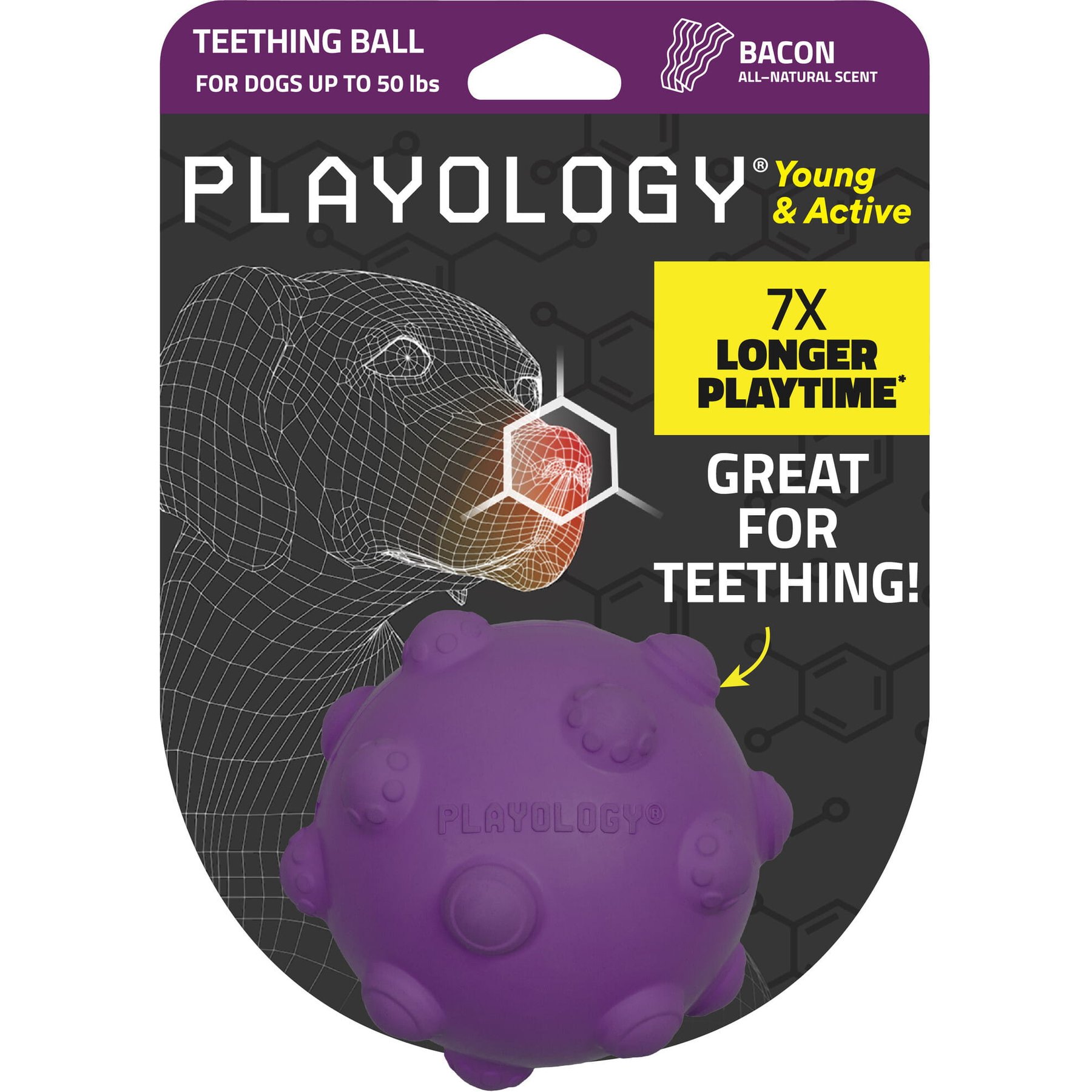Playology Bacon Scented Young & Active Tough Teething Ball Dog Toy, Purple, Medium