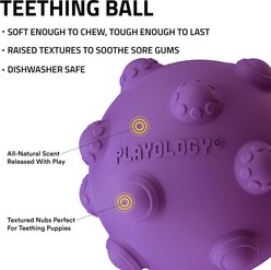 Playology Bacon Scented Young & Active Tough Teething Ball Dog Toy, Purple, Medium slide 2 of 5