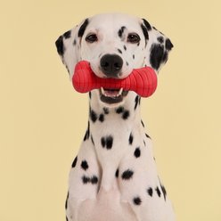 Playology Beef Scented Dual Layer Bone Dog Toy, Jumbo slide 2 of 5
