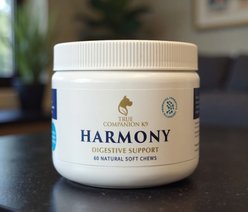 True Companion K9 Harmony Sensitive Digestion Duck Flavored Chew Immune Supplement for Dogs, 60 count slide 2 of 5