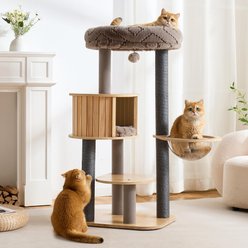 Hittite Modern Multi-Level Wooden Tower Cat Tree with Scratching Posts, Spacious Top Bed, Condo & Capsule Perch, 23 x 19 x 48-in, Natural Gray