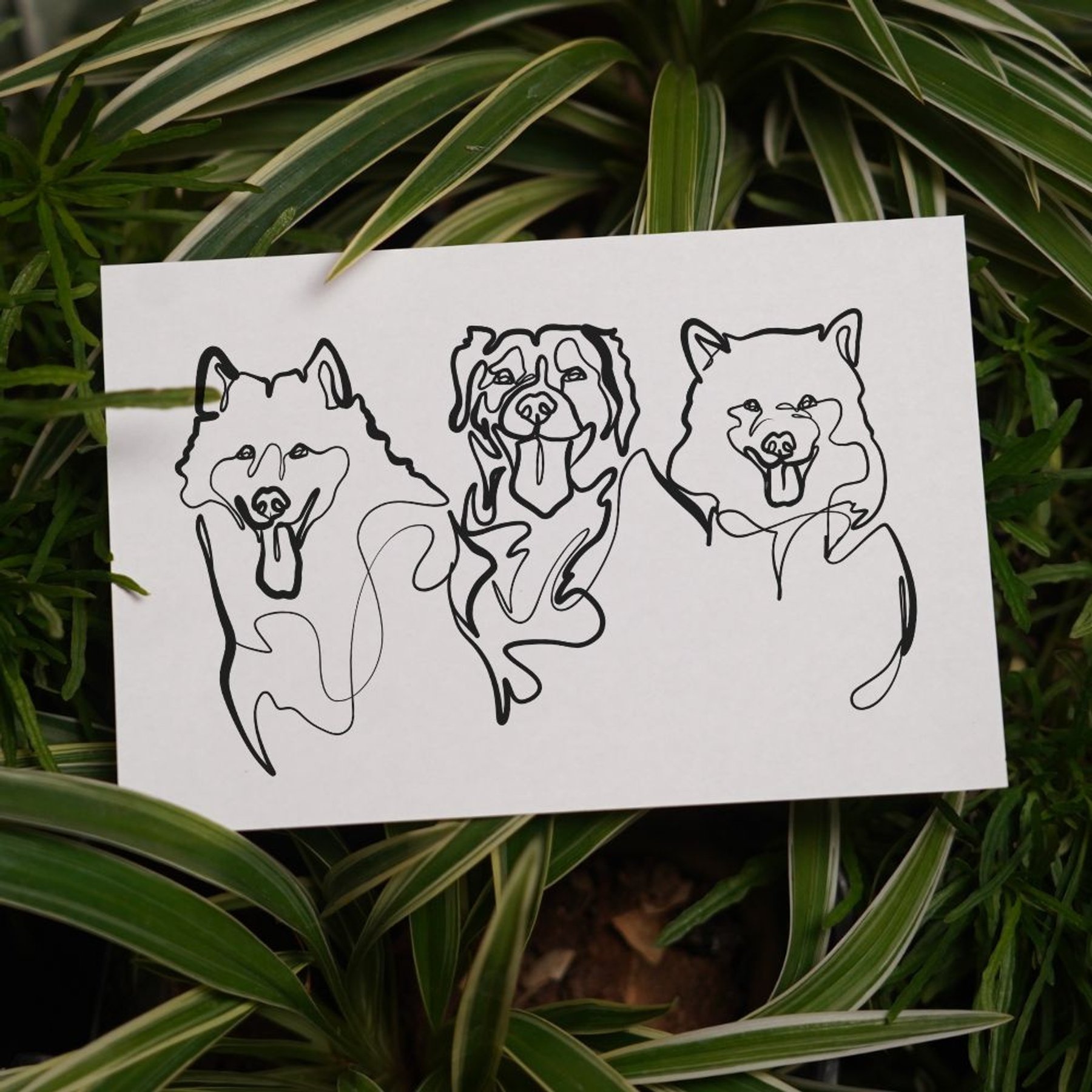 Char and Whiskers Single-line Custom Pet Portrait, 3 Pets: 11 x 17-in