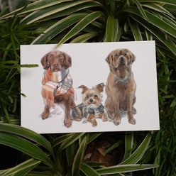 Char and Whiskers Color Sketch Style Custom Pet Portrait, 3 Pets: 11 x 17-in