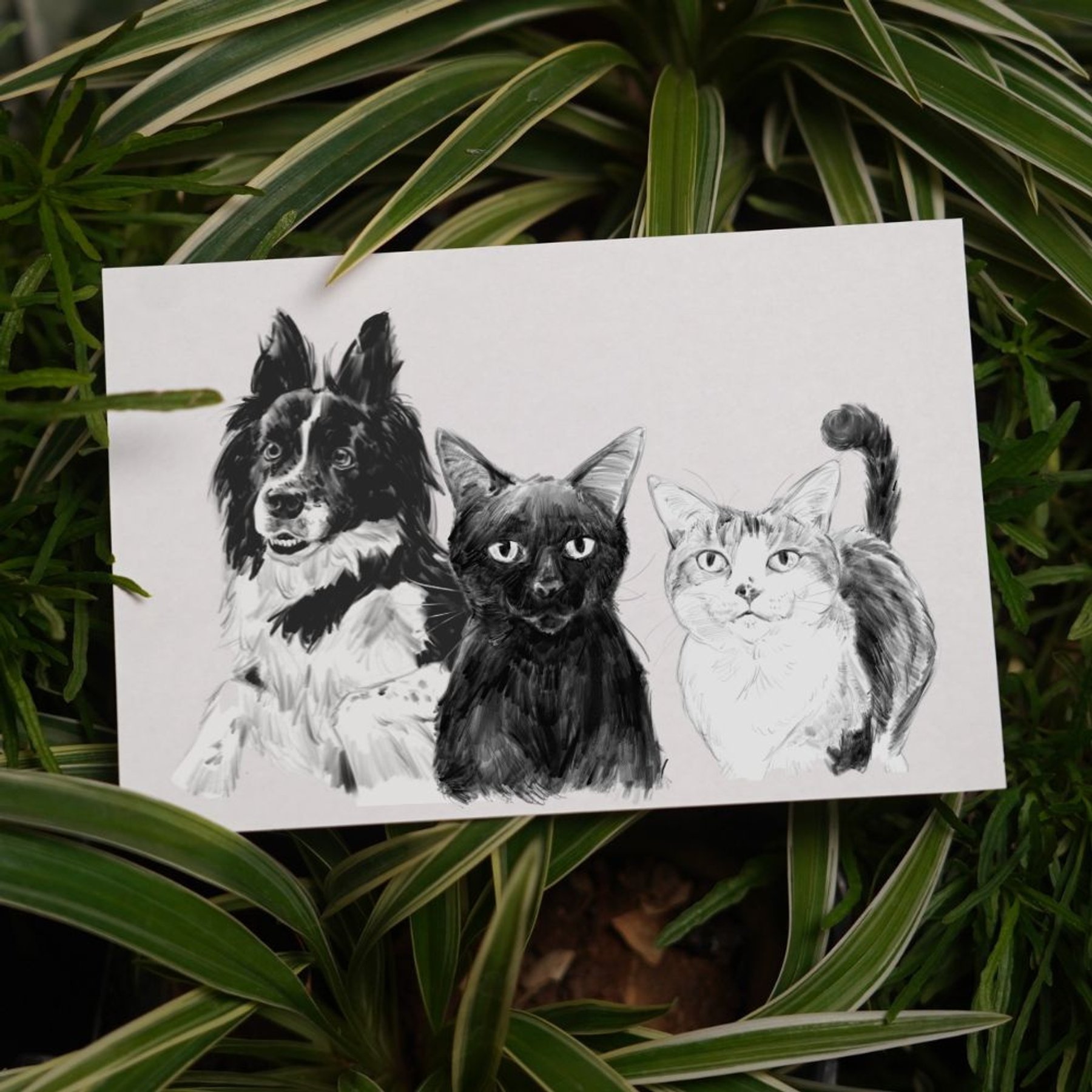 Char and Whiskers Monochrome Sketch Style Custom Pet Portrait, 3 Pets: 11 x 17-in
