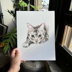Char and Whiskers Color Sketch Style Custom Pet Portrait, 1 Pet: 8.5 x 11-in