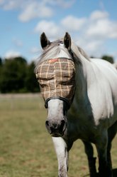 5/A Baker Horse PVC Mesh Fly Mask without Ears, X-Large