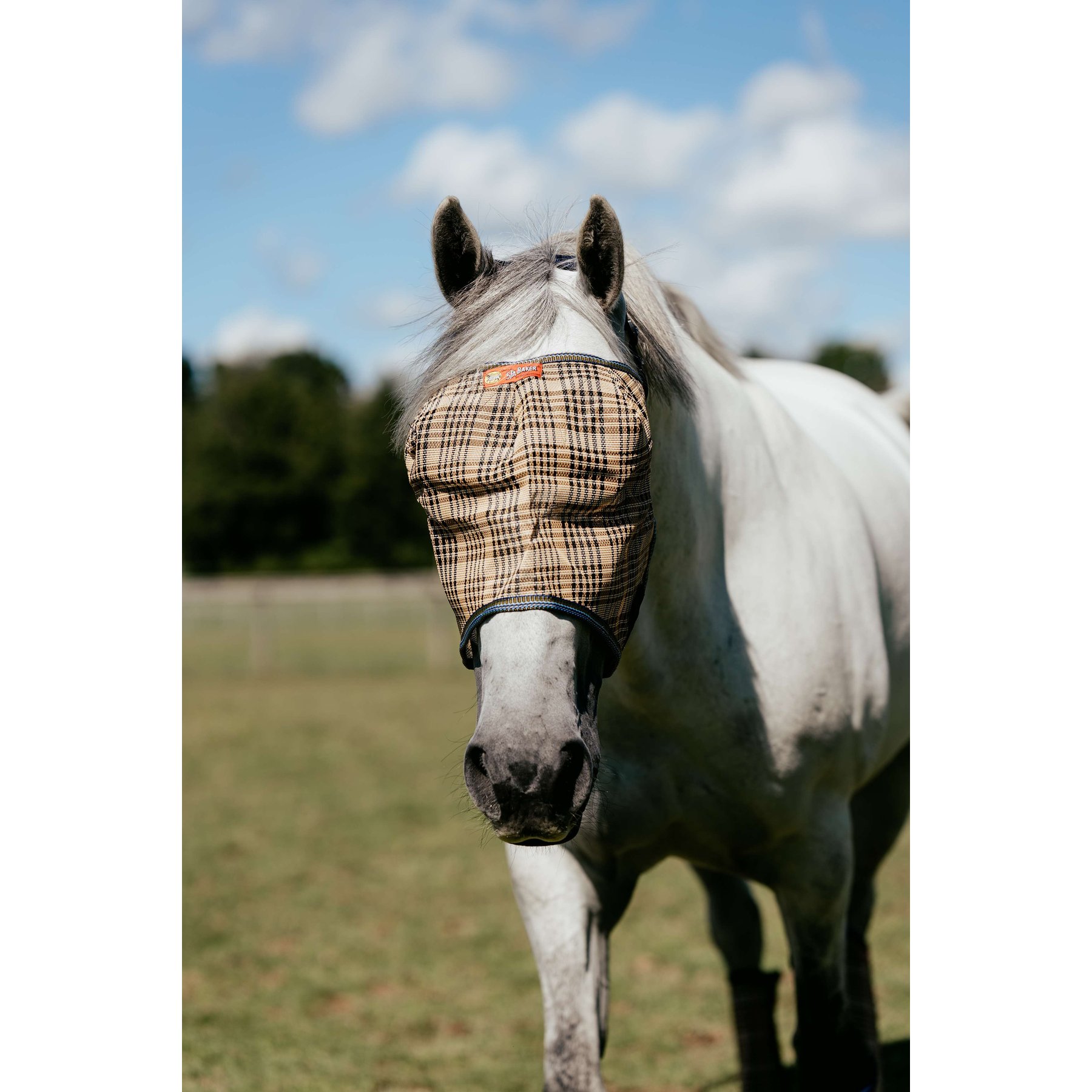 5/A Baker Horse PVC Mesh Fly Mask without Ears, Cob