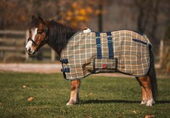 5/A Baker Horse Mini PVC Mesh Fly Sheet, X-Large