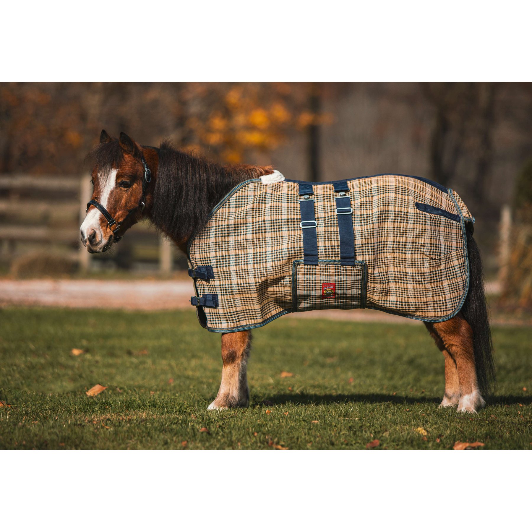 5/A Baker Horse Mini PVC Mesh Fly Sheet, XX-Large
