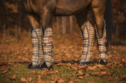 5/A Baker Horse Poly Trailering Boots, Pony