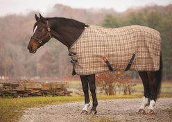 5/A Baker Deluxe Horse Blanket, 86-in