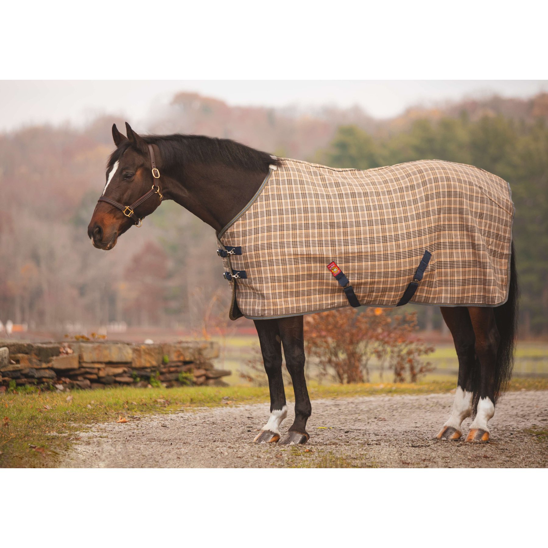 5/A Baker Deluxe Horse Blanket, 70-in