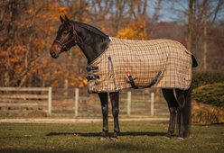 5/A Baker 555 Gram Extreme Horse Turnout Blanket, 86-in slide 2 of 9