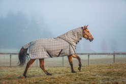 5/A Baker 200 Gram Horse Neck Cover for Turnout Blanket, X-Small: 56 to 62-in slide 2 of 4