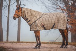 5/A Baker 200 Gram Horse Neck Cover for Turnout Blanket, Large: 76 to 80-in