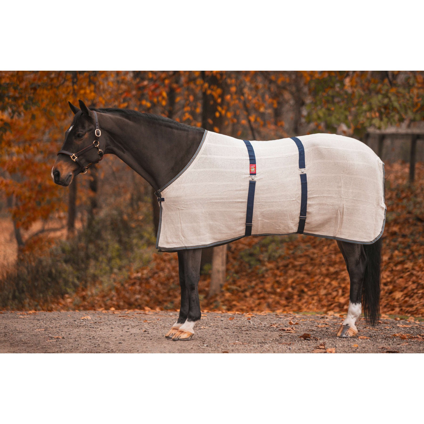 5/A Baker Irish Knit Horse Anti-Sweat Sheet, 70-in