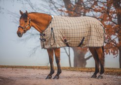 5/A Baker 400 Gram Horse Turnout Blanket, 86-in slide 2 of 3
