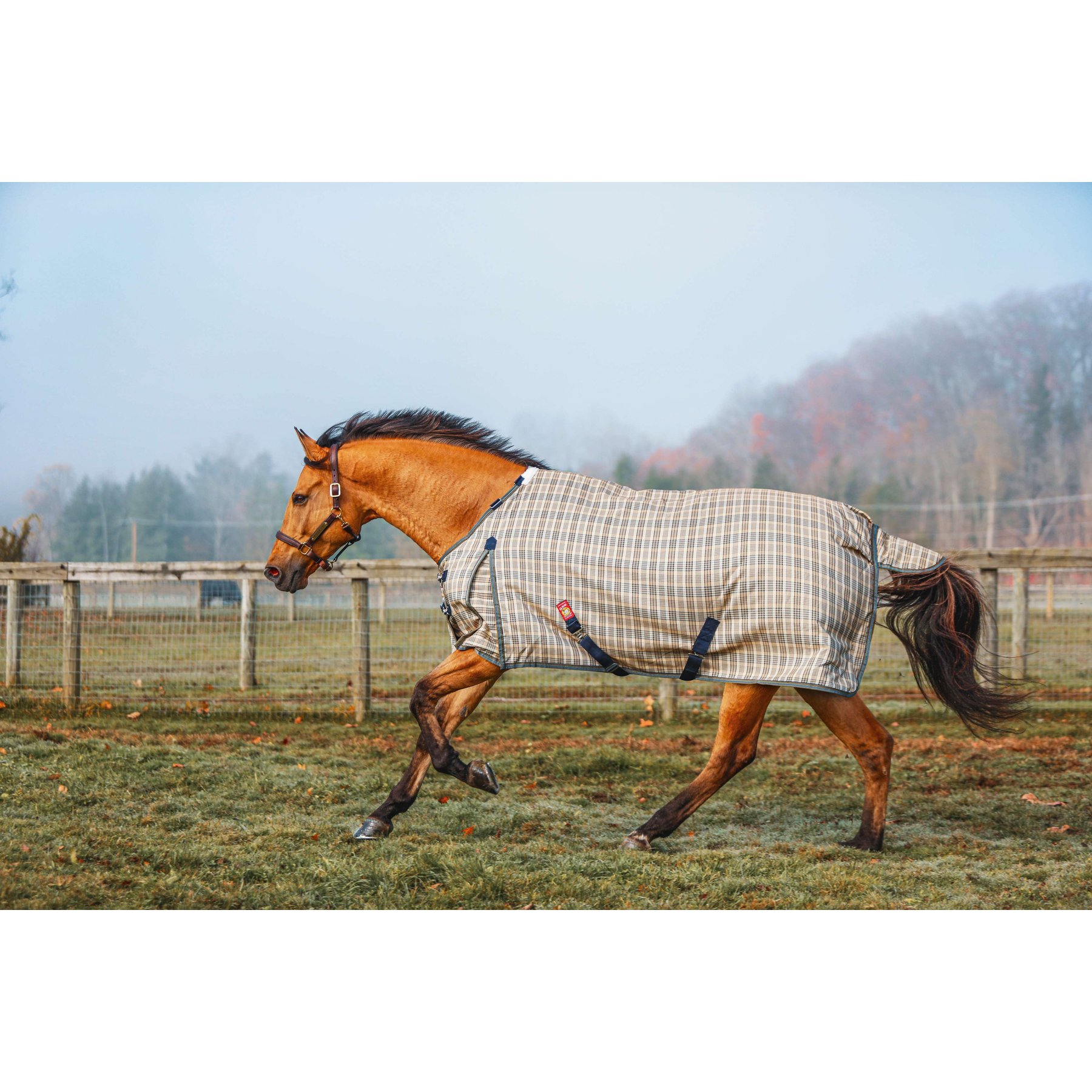 5/A Baker 400 Gram Horse Turnout Blanket, 54-in
