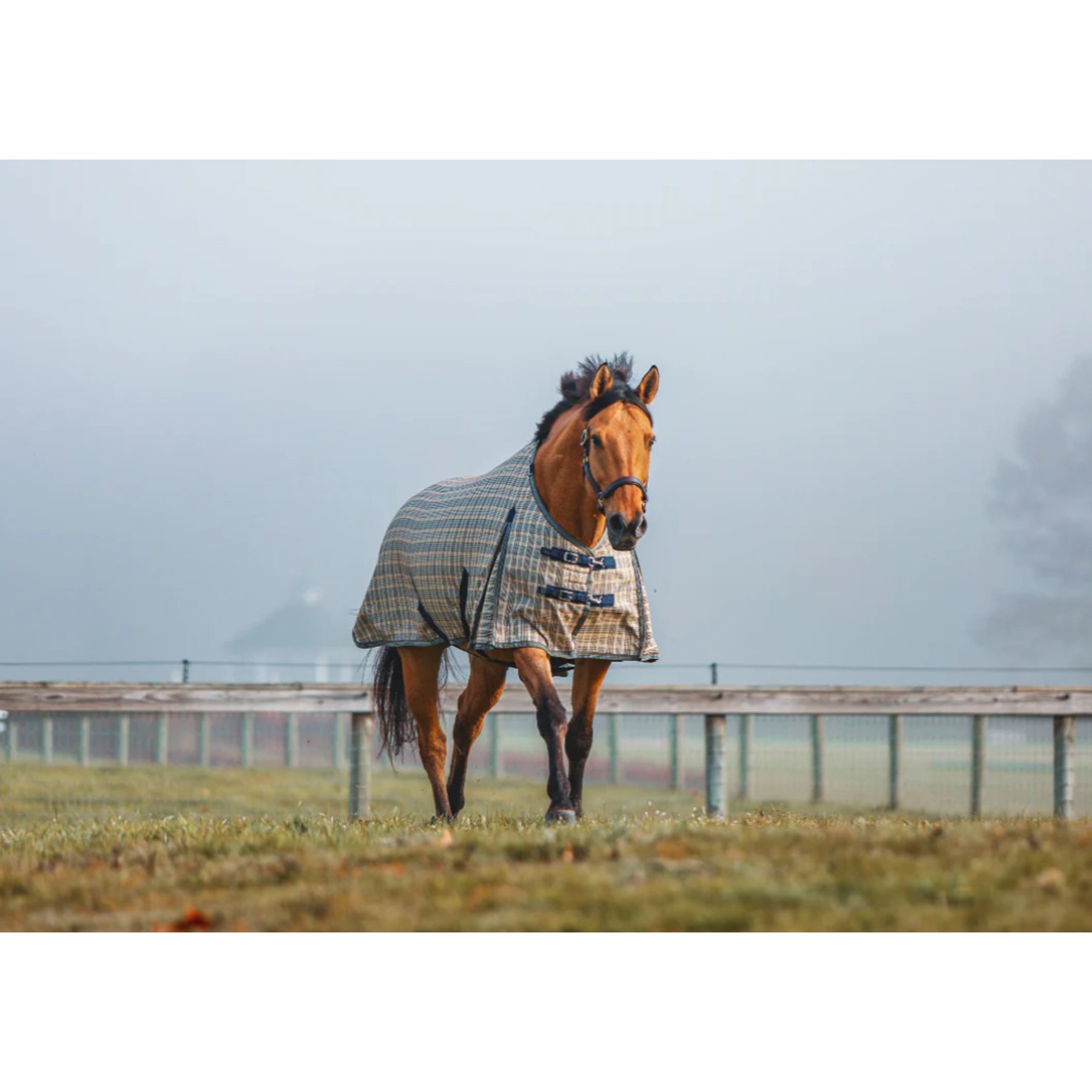 5/A Baker 200 Gram Horse Turnout Blanket, 86-in