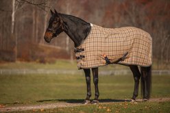 5/A Baker Deluxe Horse Stable Sheet, 66-in
