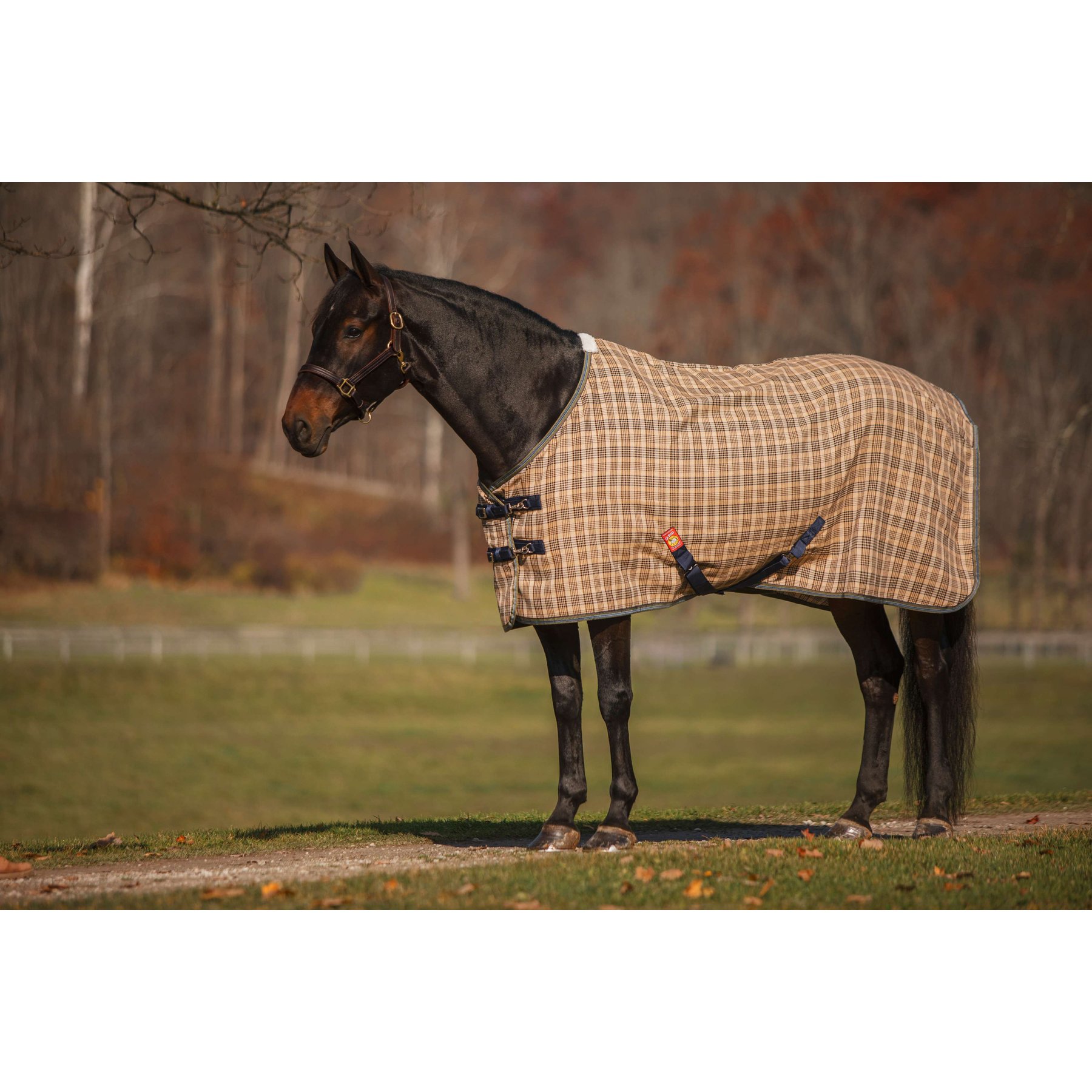 5/A Baker Deluxe Horse Stable Sheet, 86-in