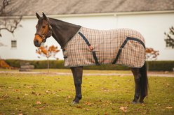 5/A Baker Horse Stable Sheet, 54-in