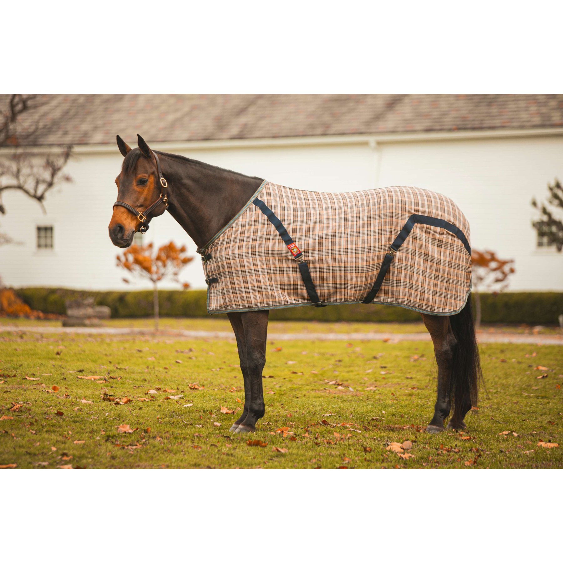 5/A Baker Horse Stable Sheet, 66-in