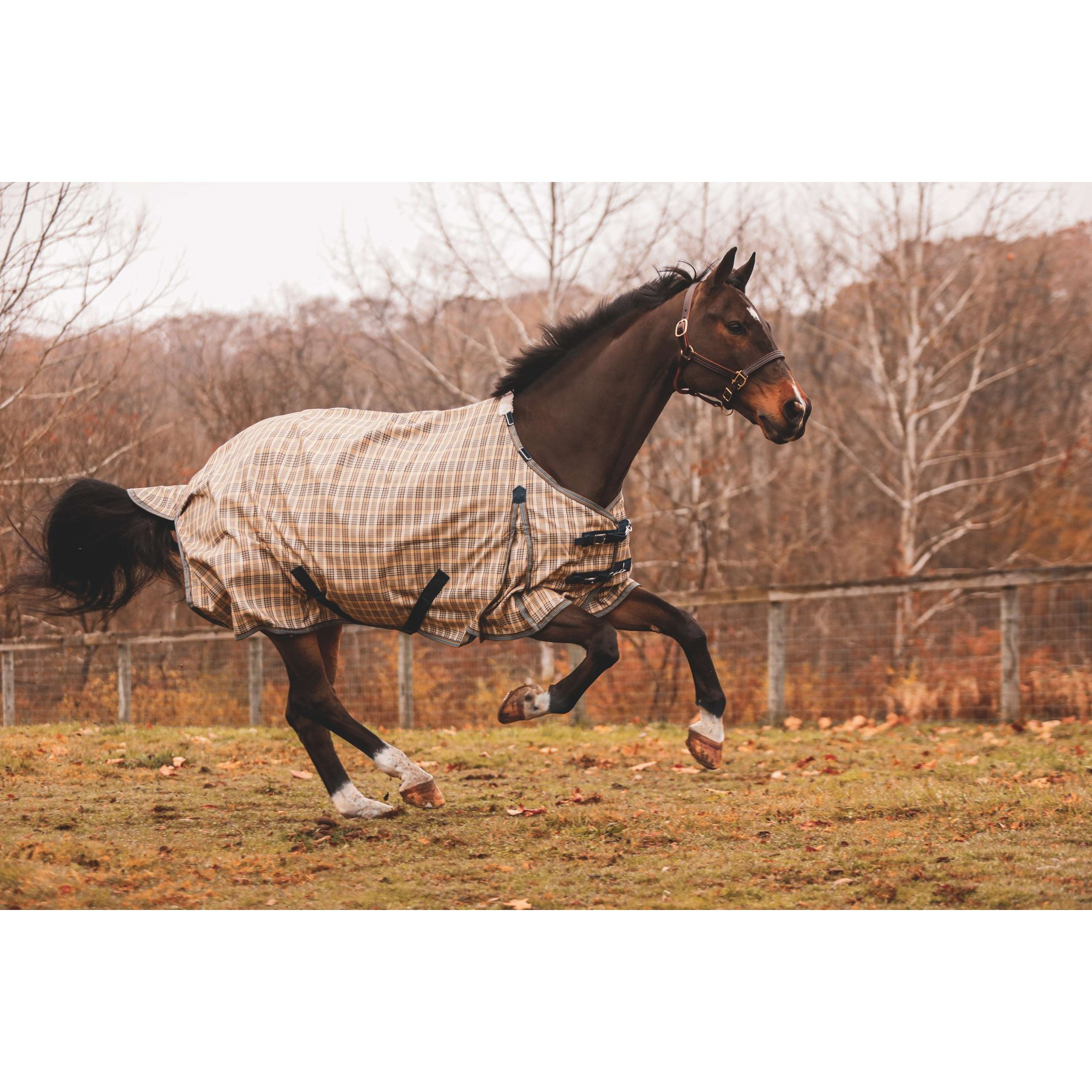 5/A Baker Horse Turnout Sheet, 76-in