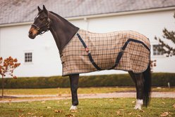5/A Baker The Original Horse Blanket, 56-in