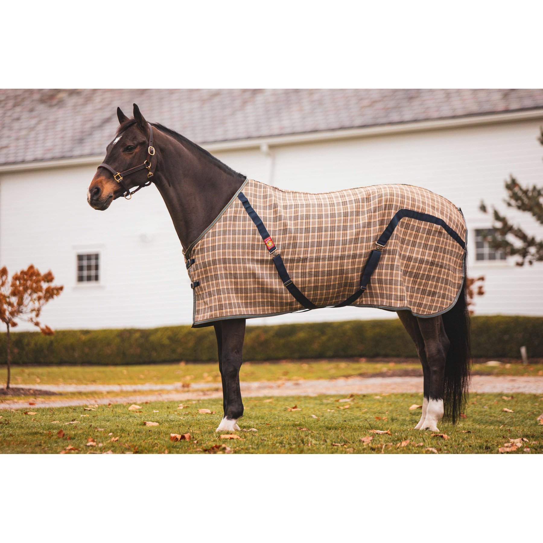 5/A Baker The Original Horse Blanket, 82-in