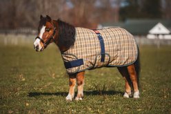 5/A Baker Horse Foal & Pony Expand-O Sheet, X-Large