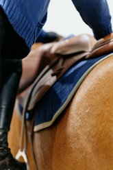 5/A Baker Horse Jumper Quilted Pad, Navy, Square slide 2 of 3