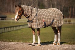5/A Baker Horse PVC Mesh Fly Sheet with Neck Cover, 79 to 81-in
