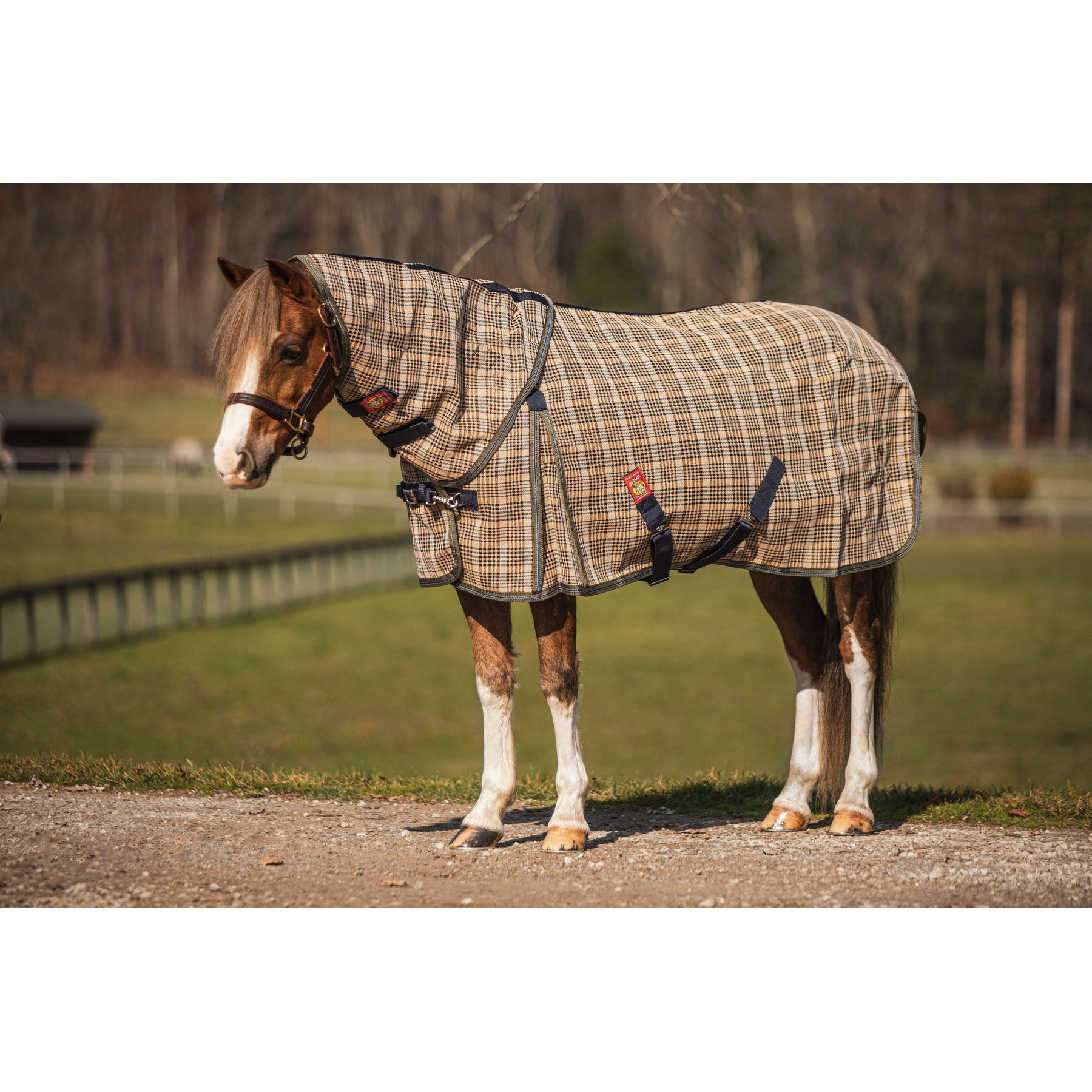 5/A Baker Horse PVC Mesh Fly Sheet with Neck Cover, 73 to 75-in