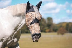 5/A Baker Horse PVC Mesh Fly Mask with Ears, Full