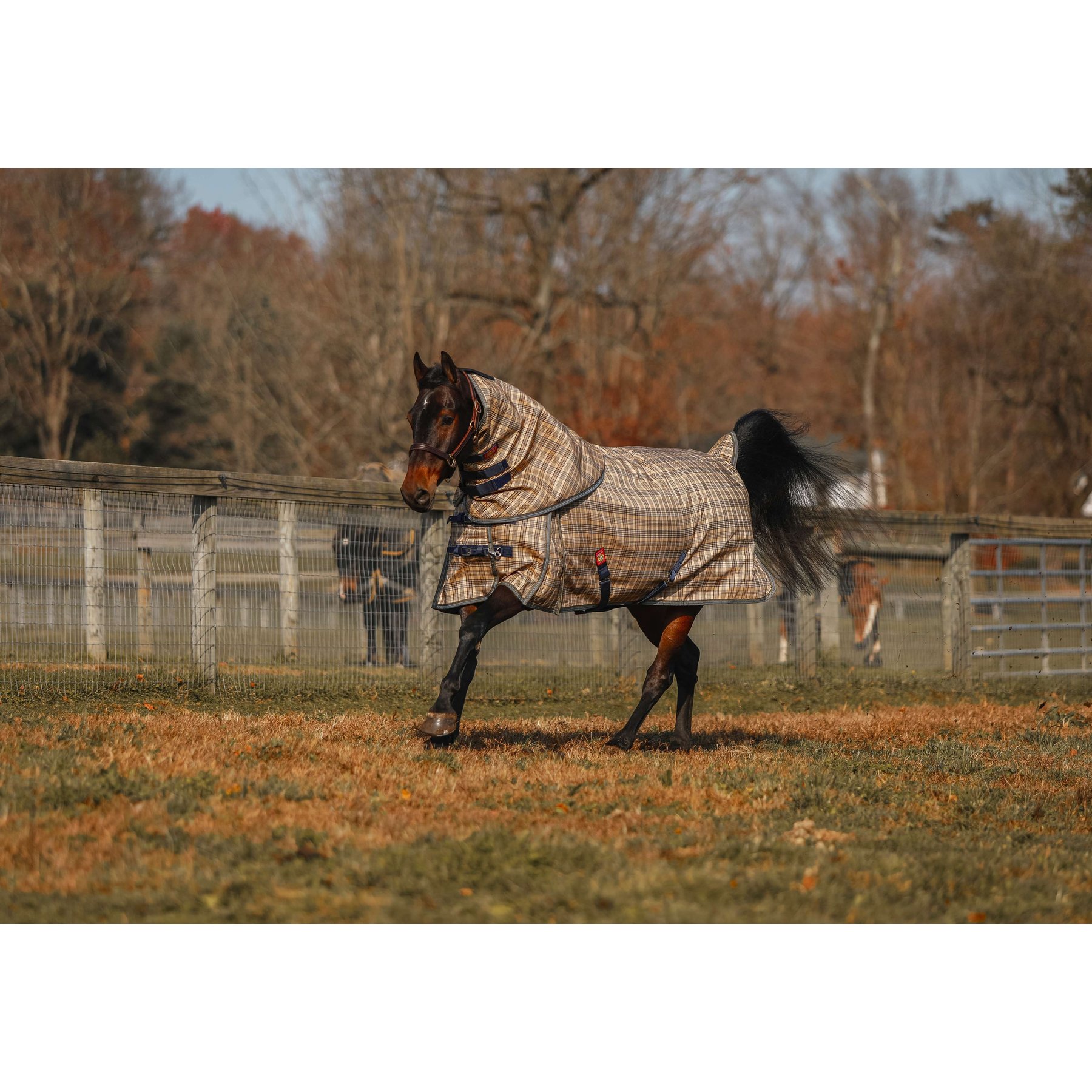 5/A Baker 200 Gram Extreme Horse Neck Cover for Turnout Blanket, Medium: 68 to 74-in
