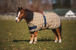 5/A Baker 200 Gram Horse Foal & Pony Expand-O-Turnout Blanket, X-Large