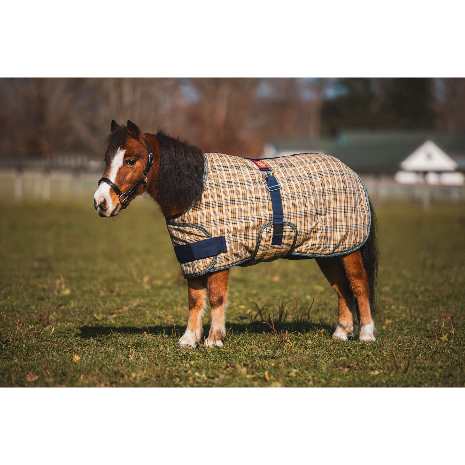 5/A Baker 200 Gram Horse Foal & Pony Expand-O-Turnout Blanket, Medium