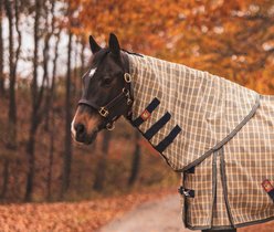5/A Baker Horse Neck Cover for Turnout Sheet, Large: 76 to 80-in