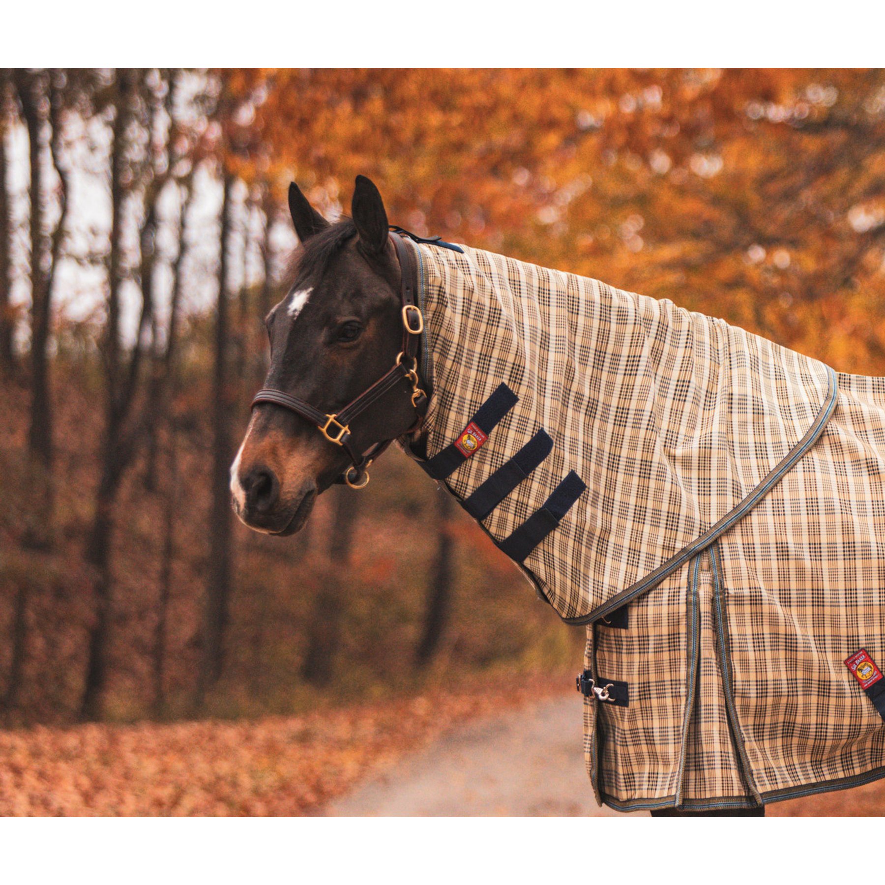 5/A Baker Horse Neck Cover for Turnout Sheet, Medium: 68 to 74-in