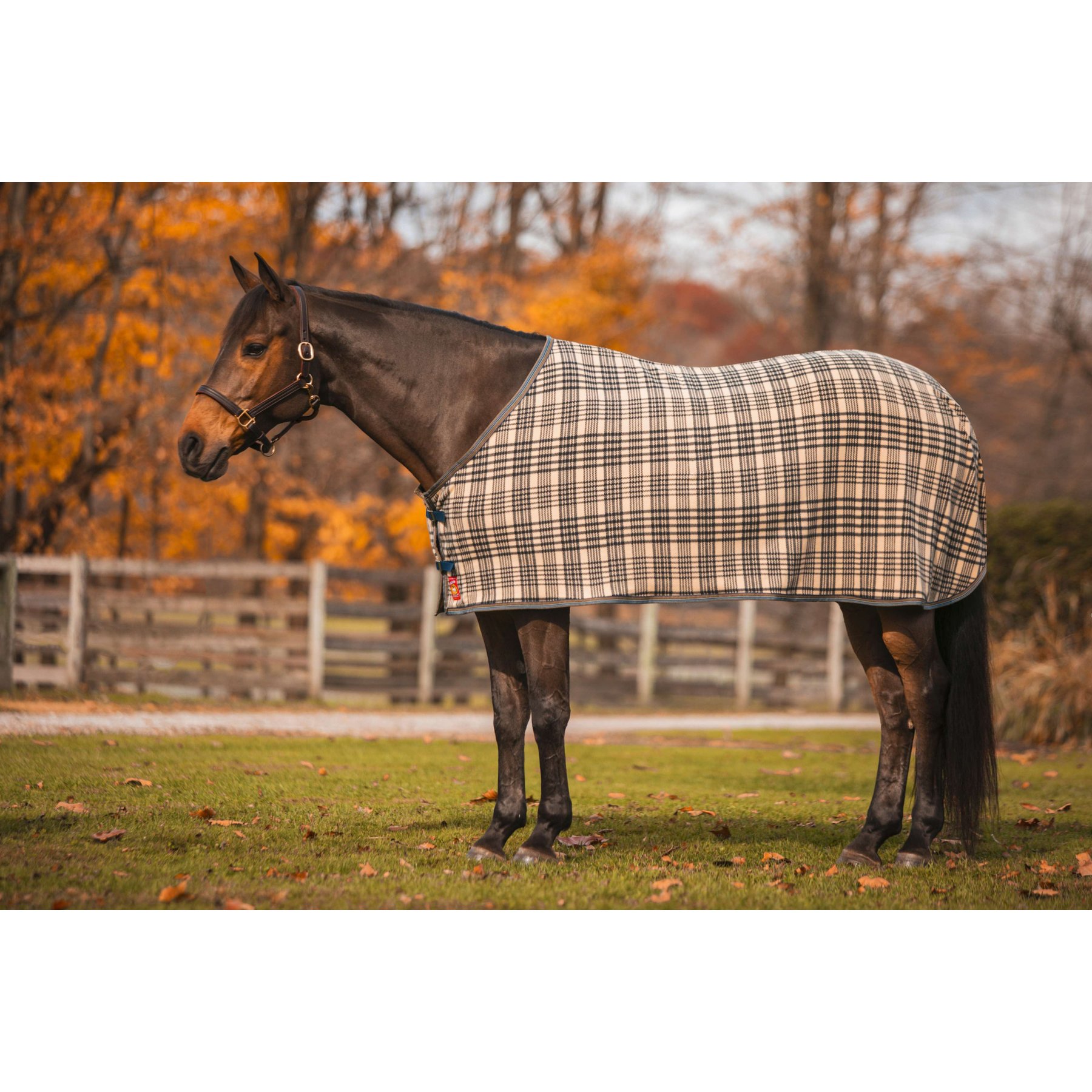 5/A Baker Fleece Horse Dress Sheet, 72-in