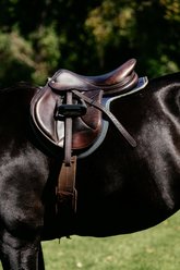 5/A Baker Horse Jumper Quilted Pad, Navy, Fitted