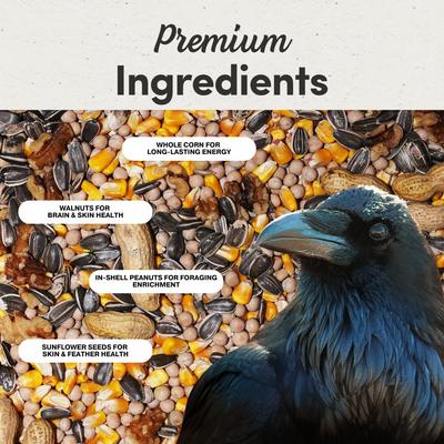 Show full view: Mycelium Feeds High Energy Grain & Nut Mix with Sunflower Seed & Peas Blends Crow & Raven Food, 5-lb bag slide 4 of 10