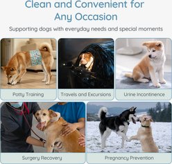 Bella & Pal Washable Belly Band Male Dog Wrap, Teal, 3 count, X-Large: 24 to 29-in waist slide 2 of 7