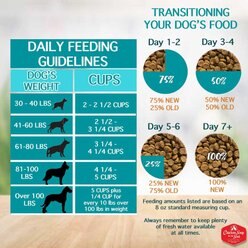 Chicken Soup for the Soul Large Breed Adult Chicken, Brown Rice & Turkey Recipe Dry Dog Food, 28-lb bag slide 2 of 9