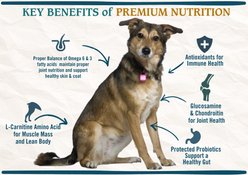 Chicken Soup for the Soul Senior Chicken, Brown Rice & Turkey Recipe Dry Dog Food, 4.5-lb bag slide 2 of 9