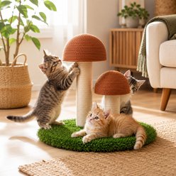 Furry Groves Mushroom 14-in Modern Polyester Cat Scratcher, Brown slide 2 of 7