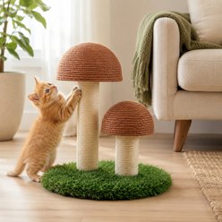 Furry Groves Mushroom 14-in Modern Polyester Cat Scratcher, Brown