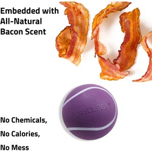 Playology Bacon Scented Squeaky Chew Ball Dog Toy, Medium